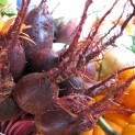 Alien Beets!
