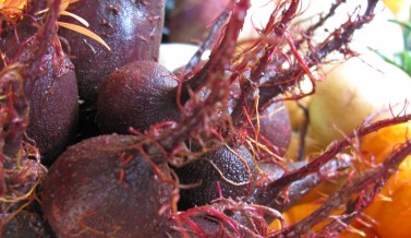 Alien Beets!