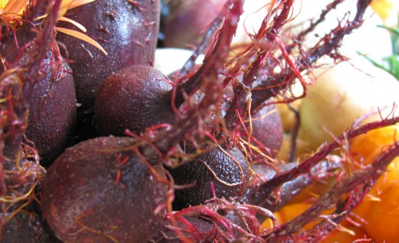 What’s A CSA?