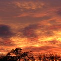 Sunsets are pretty