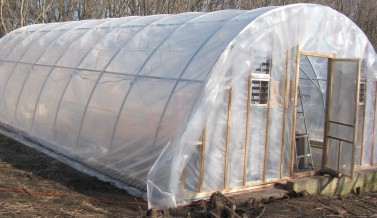 New Greenhouse