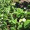 This Week on the Farm 4/22