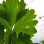This Week on the Farm 4/29