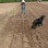 This Week on the Farm 5/7