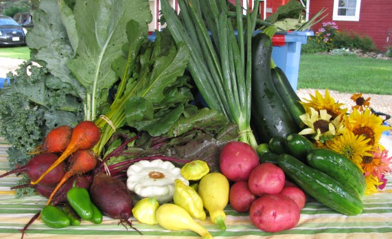 What’s a CSA
