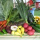 What’s a CSA