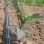 This Week on the Farm 5/19